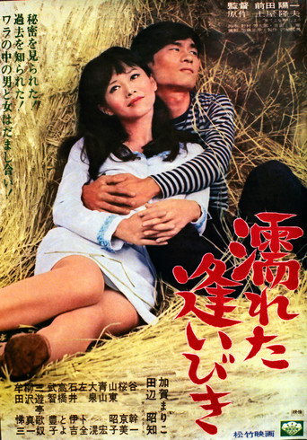 Wet Encounter movie poster