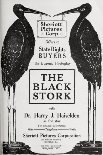 The Black Stork movie poster