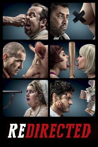 Redirected movie poster