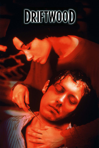Driftwood movie poster