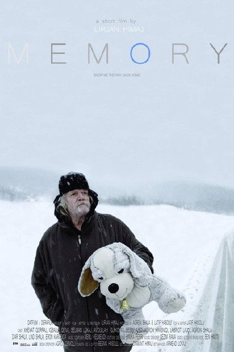 Memory movie poster