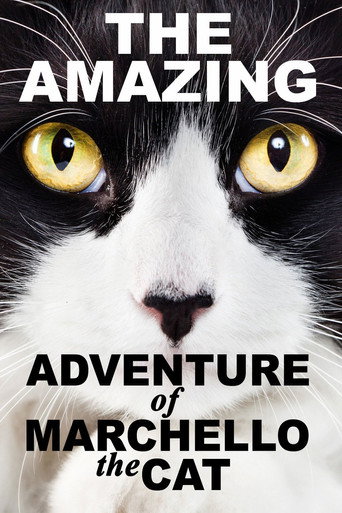 A Cat's Tale movie poster