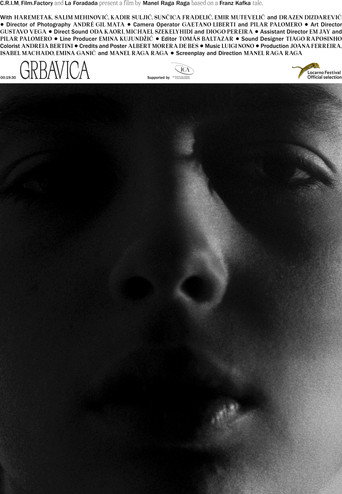 Grbavica movie poster