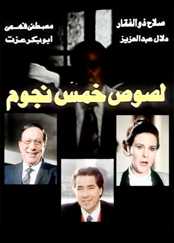 Five star thieves movie poster