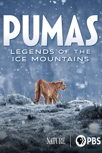 Pumas: Legends of the Ice Mountains movie poster