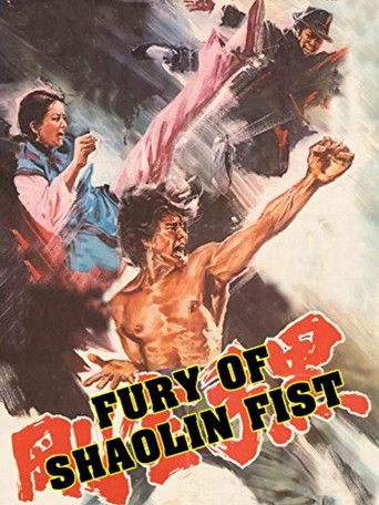 Fury of Shaolin Fist movie poster