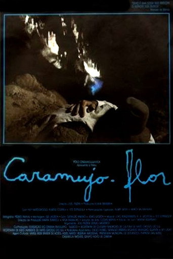 Caramujo-Flor movie poster