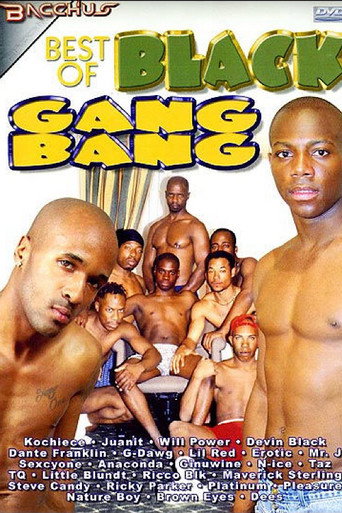 Best of Black Gang Bang movie poster