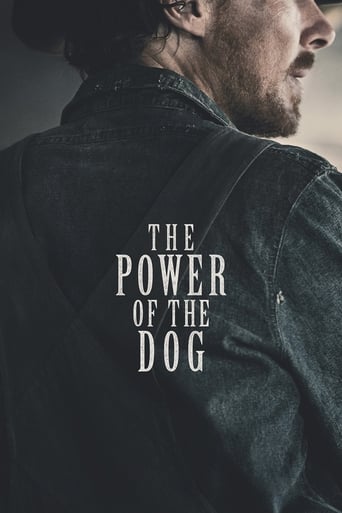 The Power of the Dog movie poster