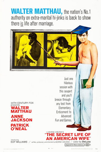 The Secret Life of an American Wife movie poster