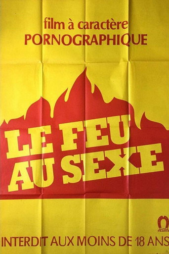 Le feu au sexe movie poster