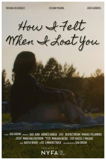 How I Felt When I Lost You movie poster