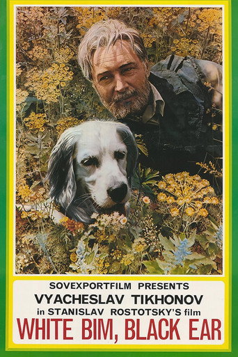 White Bim Black Ear movie poster