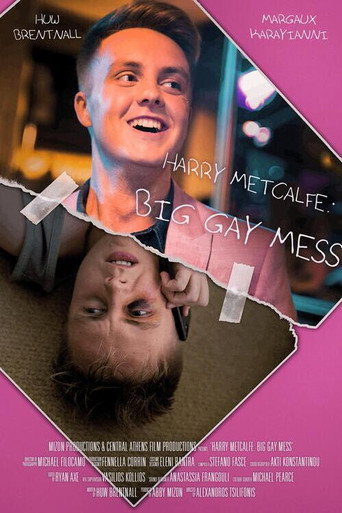 Harry Metcalfe: Big Gay Mess movie poster