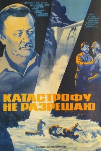 I Do Not Allow the Catastrophe movie poster