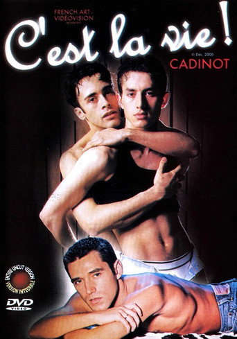 C'est la vie movie poster