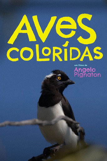 Colored Birds movie poster