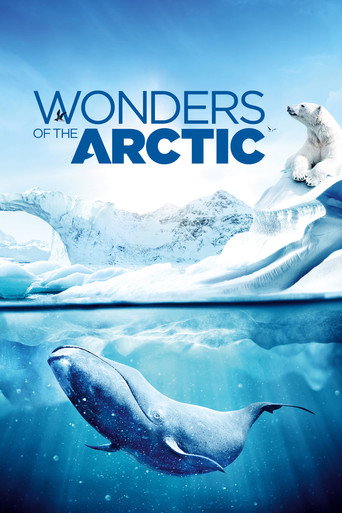 Wonders of the Arctic movie poster