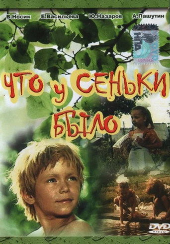 What Senka Said movie poster