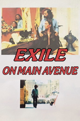 Exile on Main Avenue movie poster