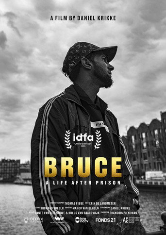 Bruce movie poster