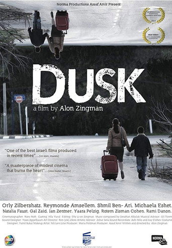 בין השמשות movie poster