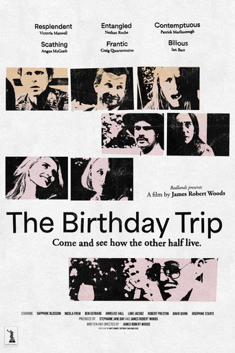 The Birthday Trip movie poster