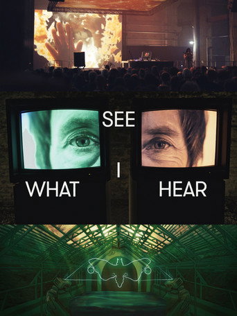 See What I Hear movie poster