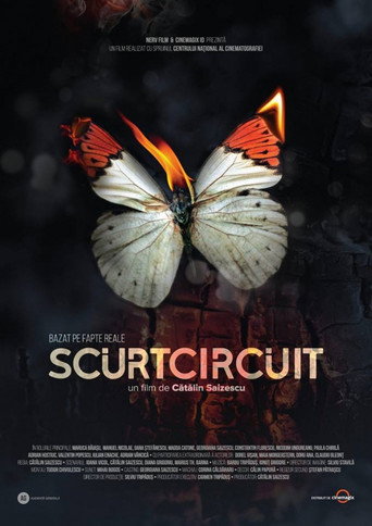Fault Condition movie poster