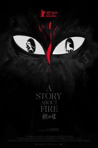 A Story About Fire movie poster