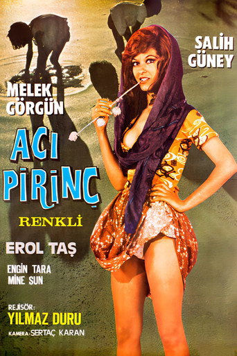 Acı Pirinç movie poster