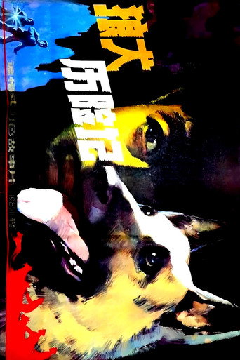 狼犬历险记 movie poster