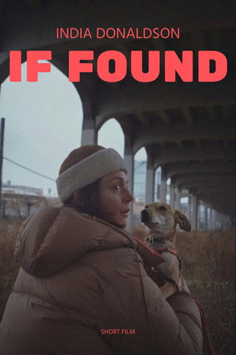 If Found movie poster