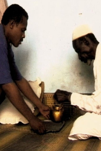 Un thé au sahel movie poster
