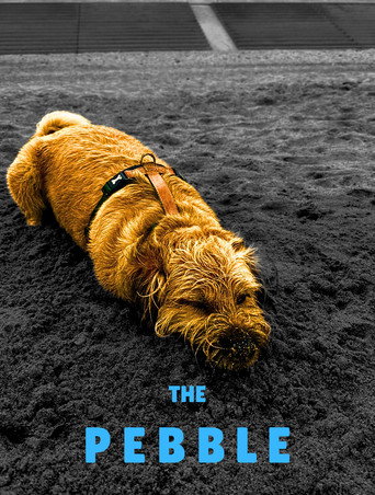The Pebble movie poster