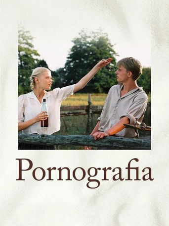 Pornography movie poster