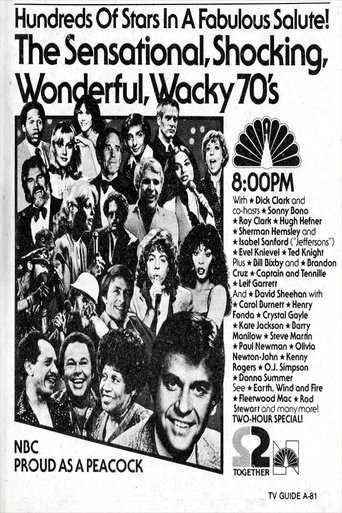 The Sensational Shocking Wonderful Wacky 70's movie poster