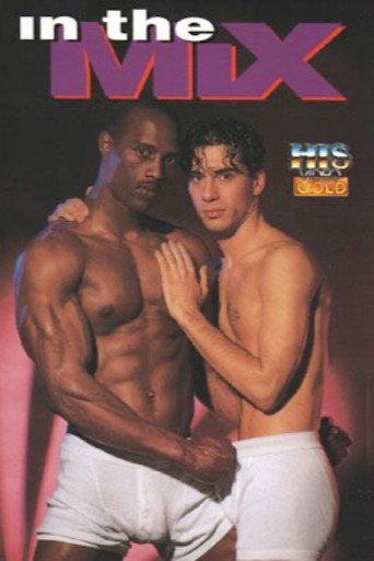 In the Mix movie poster