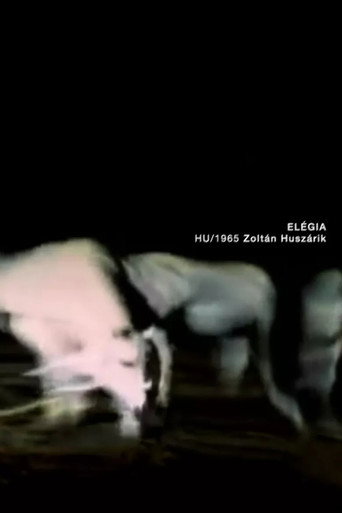 Elegy movie poster