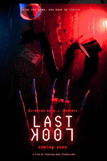 Last Look movie poster
