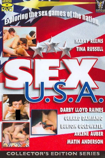 Sex USA movie poster