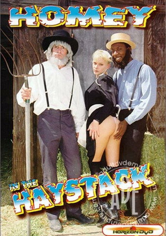 Homey In The Haystack movie poster