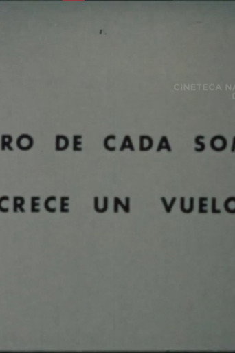 Dentro de Cada Sombra Crece un Vuelo movie poster