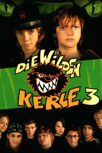 The Wild Soccer Bunch 3 movie poster