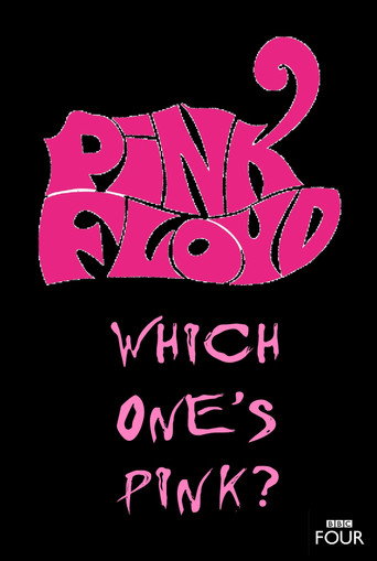 The Pink Floyd Story: Which One's Pink? movie poster