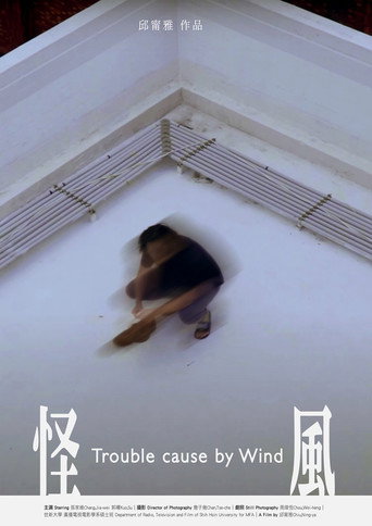 Trouble Cause By Wind movie poster