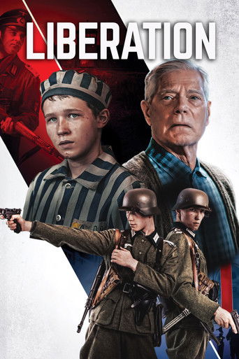 The Optimist movie poster