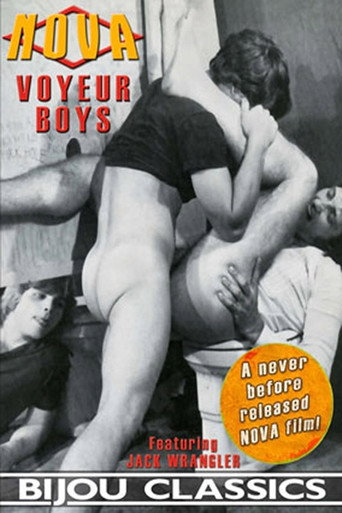 Voyeur Boys movie poster