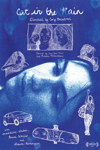 Cat in the Rain movie poster