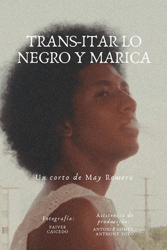 Trans-itar lo Negro y Marica movie poster
